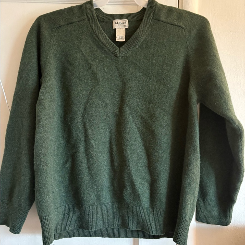 L.L. Bean Men's Forest Green V-Neck Sweater